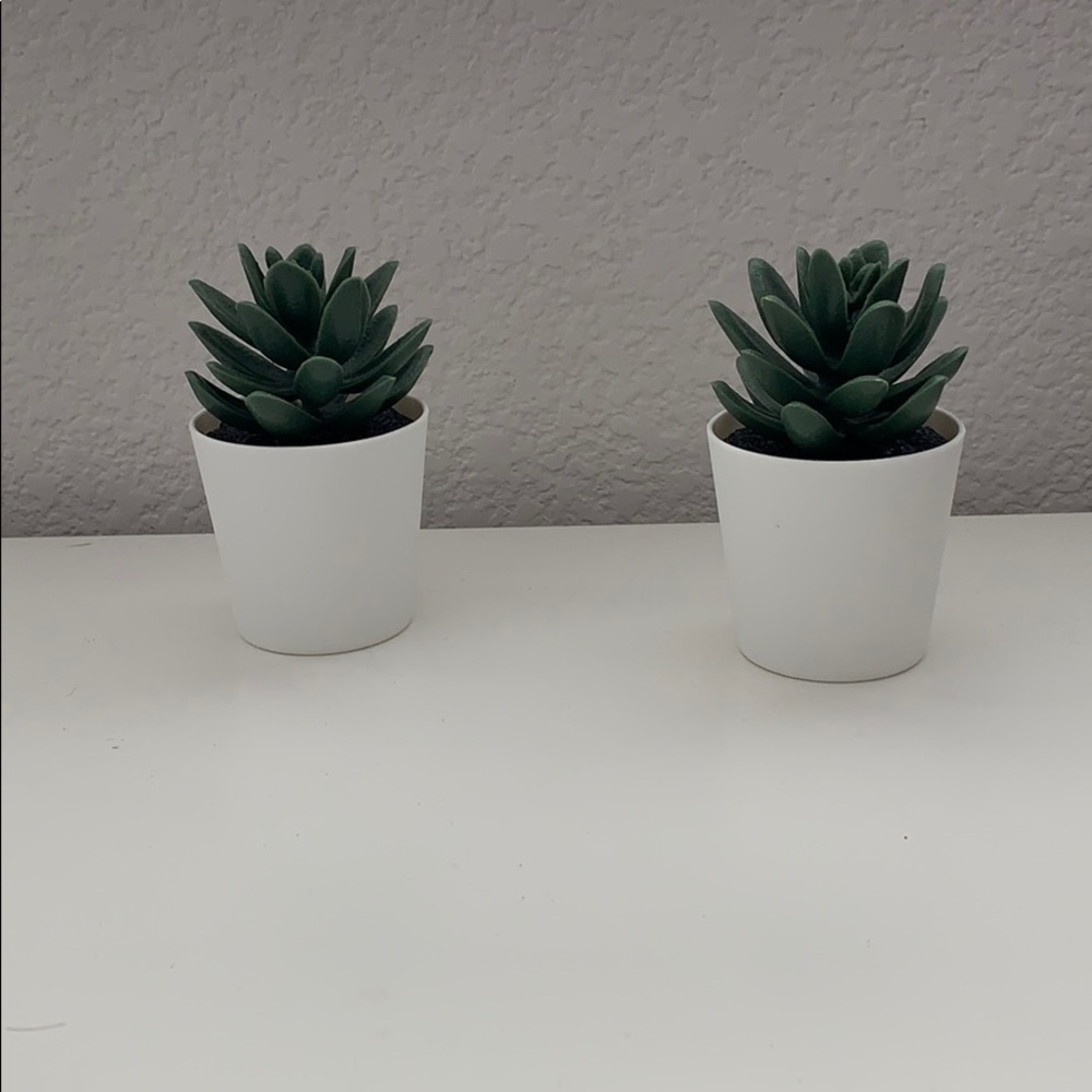 Decorative fake plants
